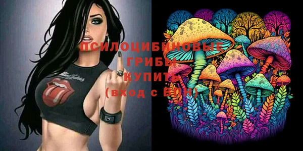 MDMA Premium VHQ Богородицк